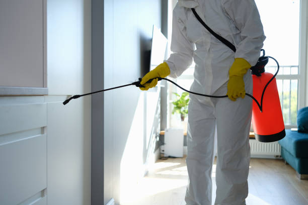 Attic Mold Removal in Westwood, KY
