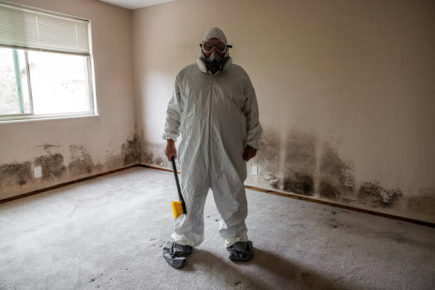 Crawl Space Mold Removal in Westwood, KY